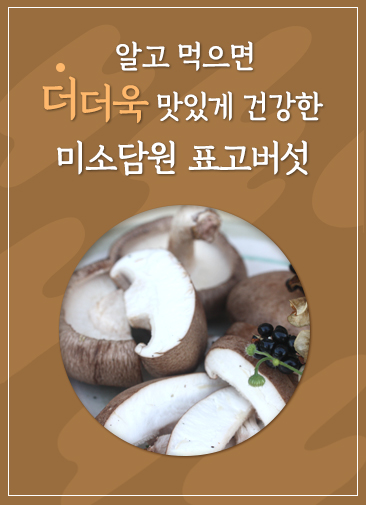 메인 중간 배너01