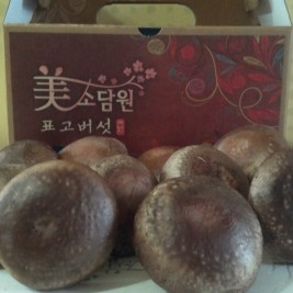 생표고 (상)
